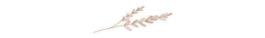 Delicate rose gold wheat branch illustration on black background.