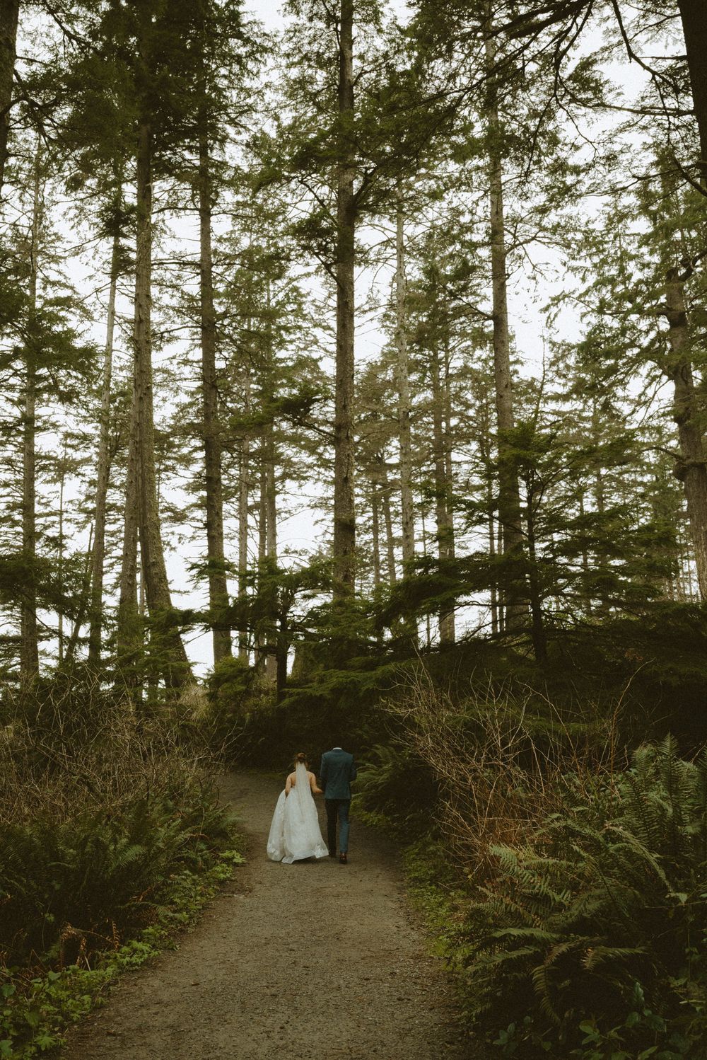 A dirt path winds through tall evergreen trees in a Pacific Northwest forest as two people walk in the distance.