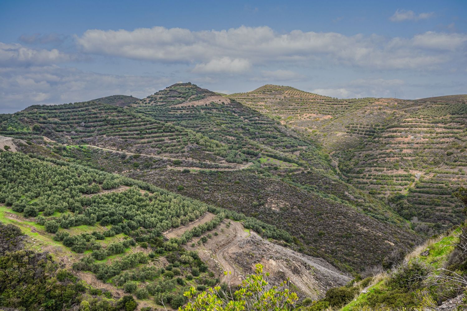 Aerial view of terraced vineyards along steep hillsides in the Douro Valley wine region of Portugal.