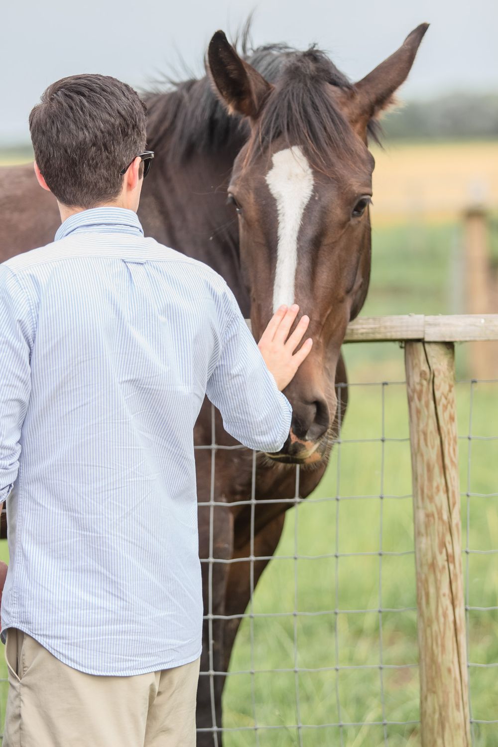 Someone in a striped shirt petting a beautiful brown horse with a white blaze marking through a wire fence.