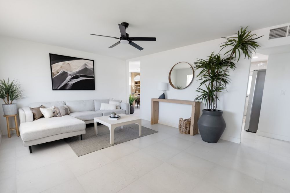 Contemporary living room with white sofa, ceiling fan, and large potted palm plant. MLS Photographer, Phoenix Arizona