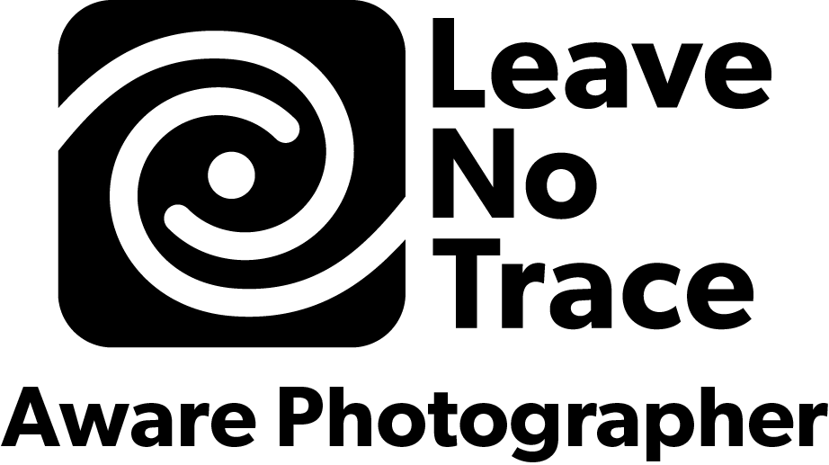 Plain black background suitable for text or design elements.