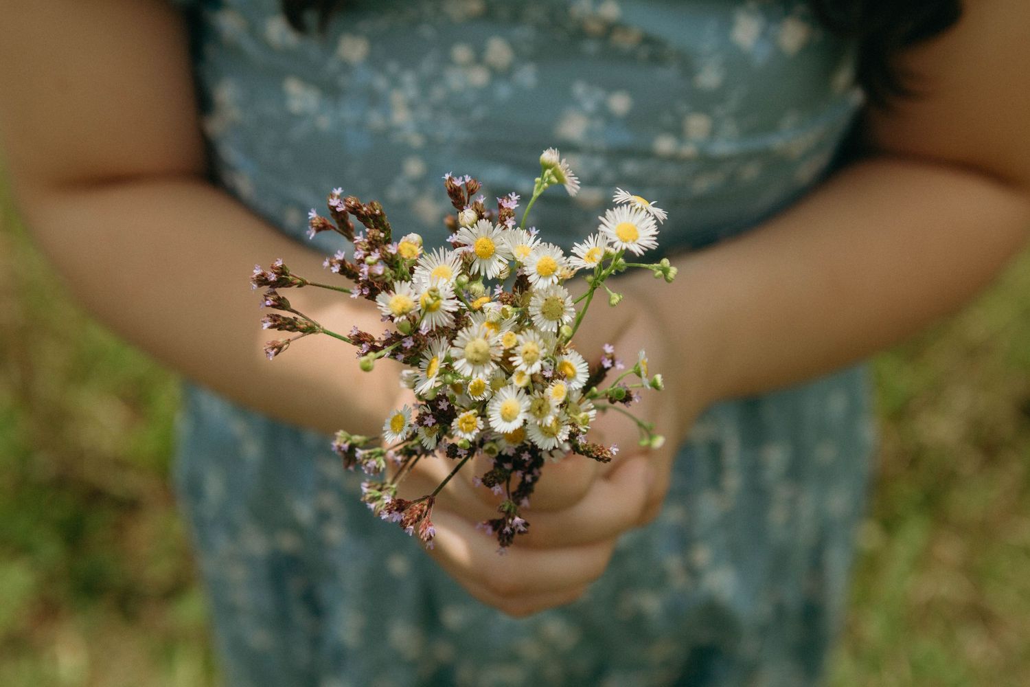 Hands in a blue dress hold a delicate bouquet of small white wildflowers and baby's breath against a green background.