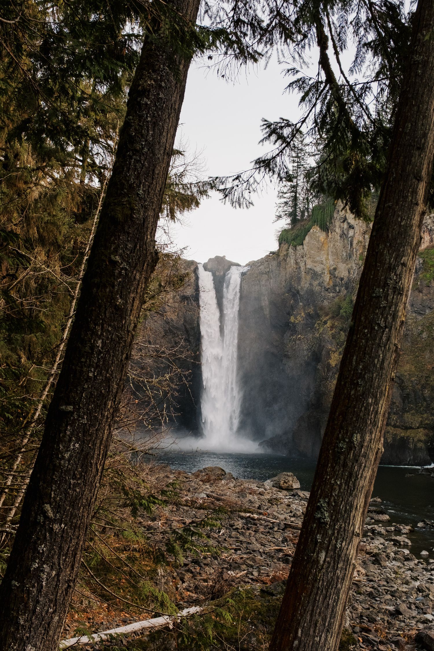 Twin waterfalls cascade down rocky cliffs framed by tall evergreen trees in a forest setting.
