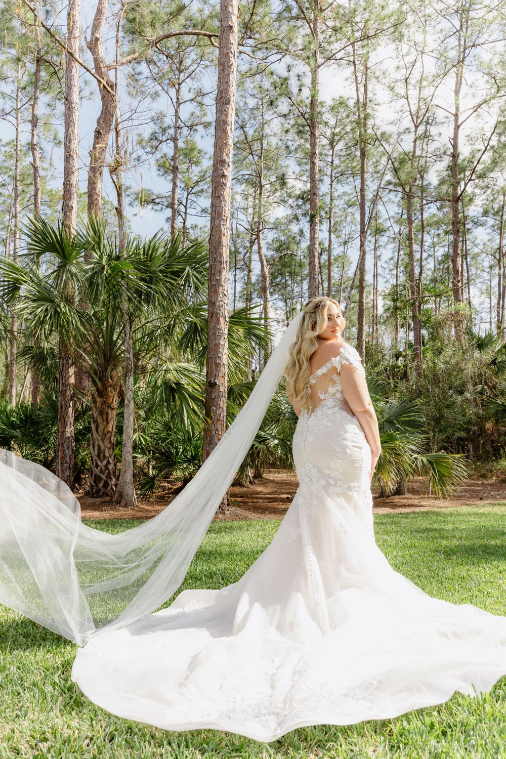 Bride in lace mermaid gown with flowing veil poses in pine forest setting.
