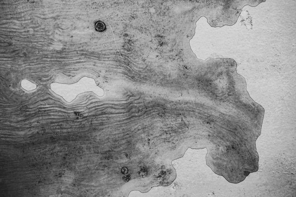 Black and white abstract ink pattern showing fluid dark shapes against a light background.