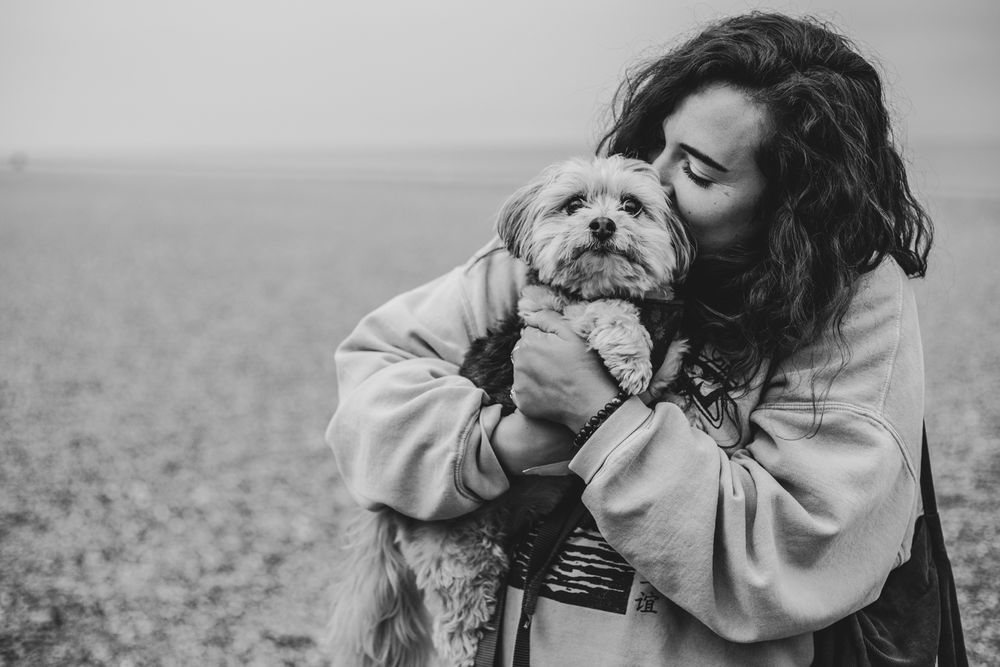 Tender moment between a person wearing an oversized sweater and their small fluffy dog on a misty day.