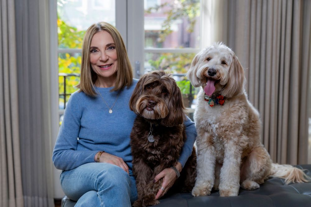 A group of people in blue sweaters pose with their small dogs on a couch near a window.