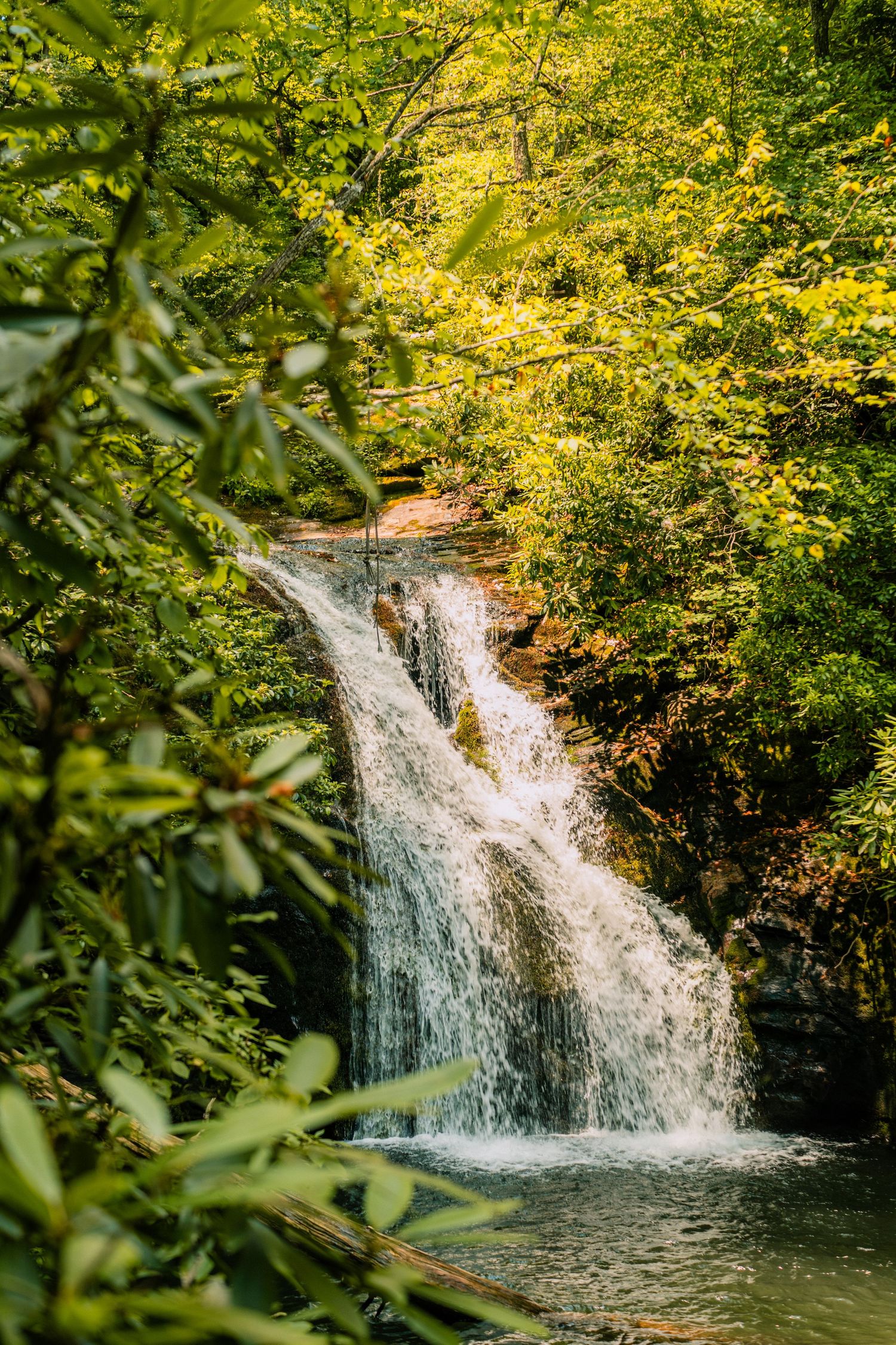 Scenic waterfall cascades through vibrant yellow autumn foliage in a forest setting.