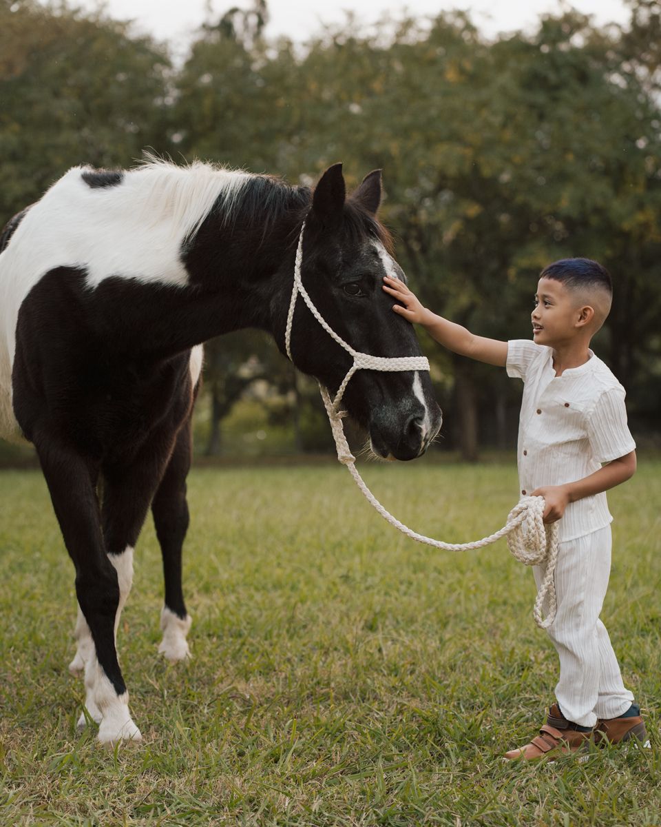 A boy in white overalls gently pets a black and white paint horse on a green grassy field during a family photoshoot with a horse in sydney