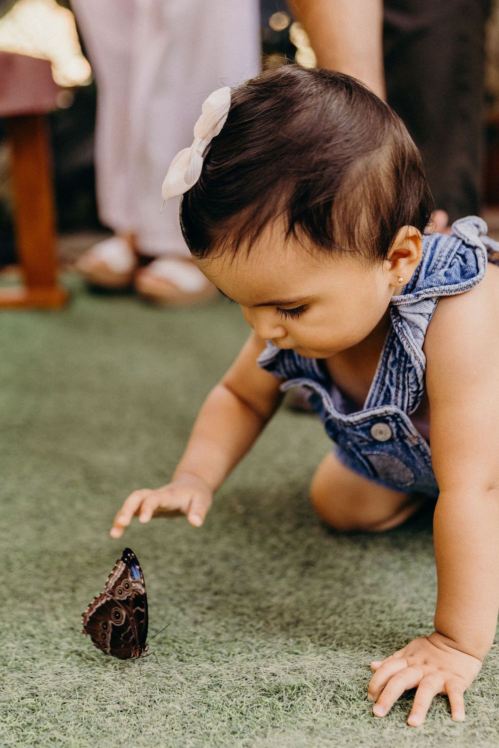 Baby girl in denim romper and bow headband curiously reaches toward a butterfly resting on green grass.