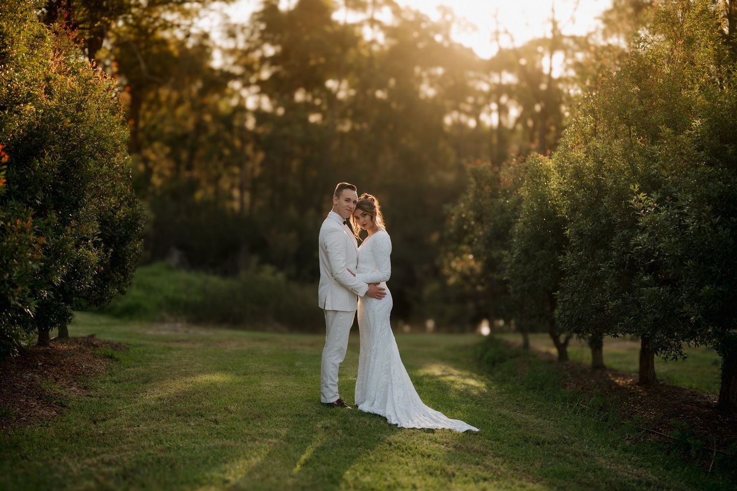 Bride and groom embrace at golden hour in a lush green orchard, glowing sunlight filtering through trees.