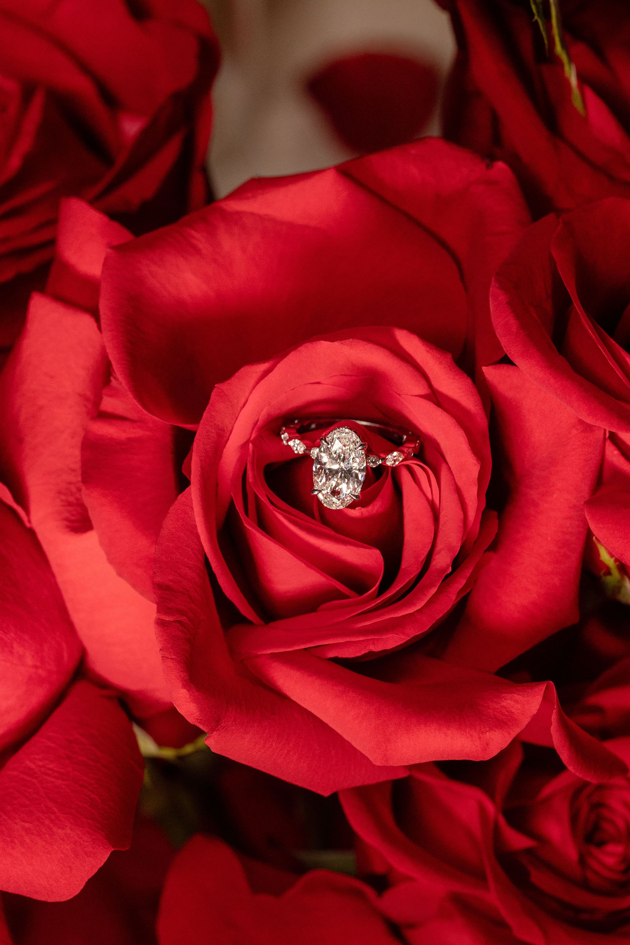 Diamond engagement ring nestled in a vibrant red rose bloom surrounded by red roses.
