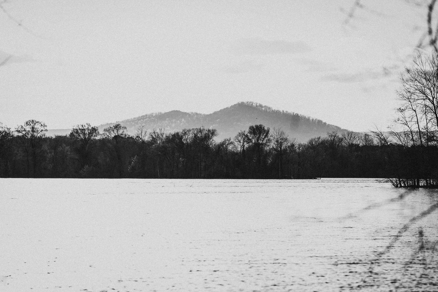 Black and white landscape photo of a calm lake with tree line and mountain range in the background.