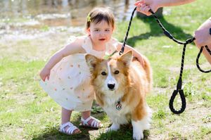 Young toddler girl in white dress crouching beside a Corgi dog on grass.