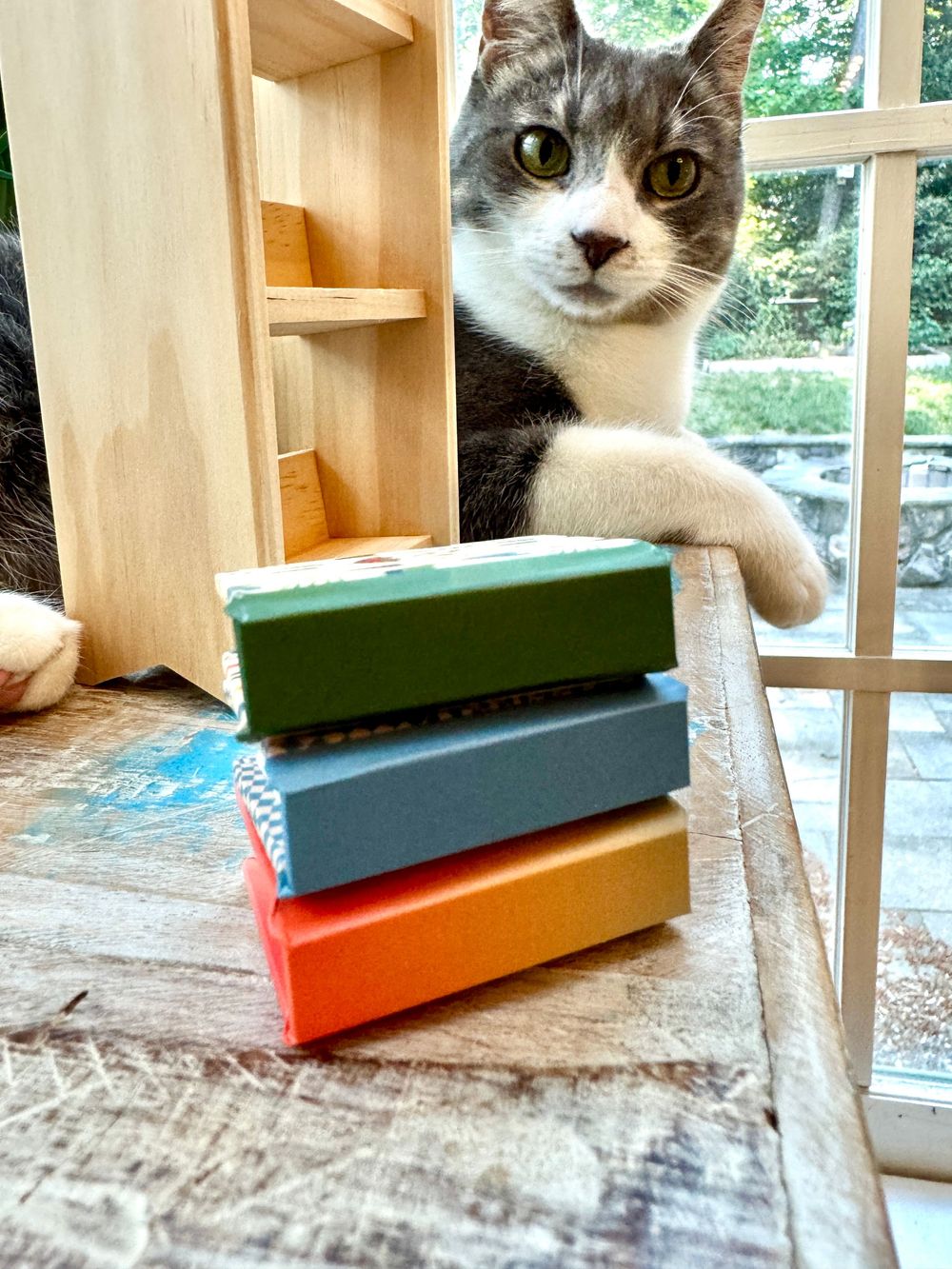 A curious gray and white cat peers over a stack of colorful handmade soaps on a rustic wooden table near a window.