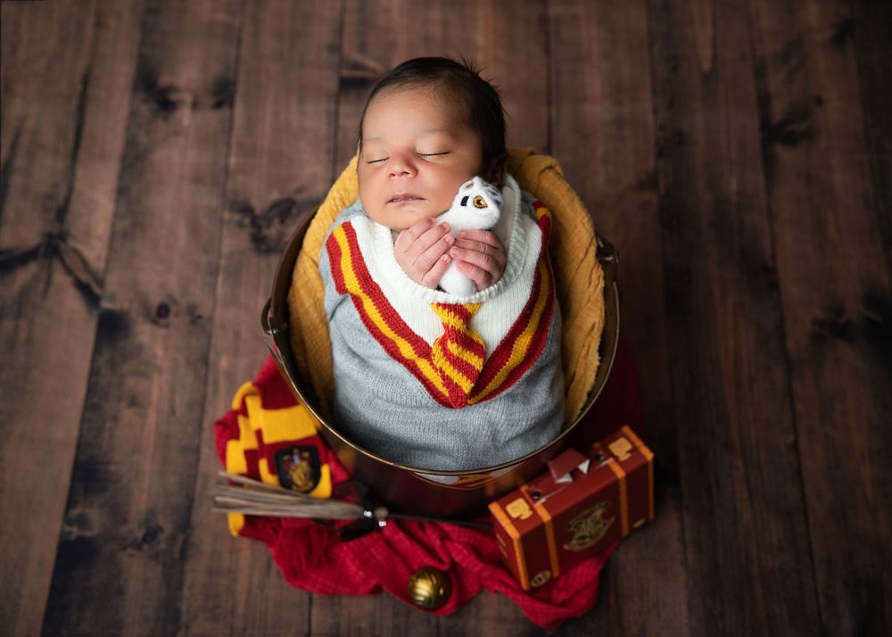 Newborn baby sleeping in a golden bowl wearing a Harry Potter Gryffindor knit costume with a tiny Hedwig toy.