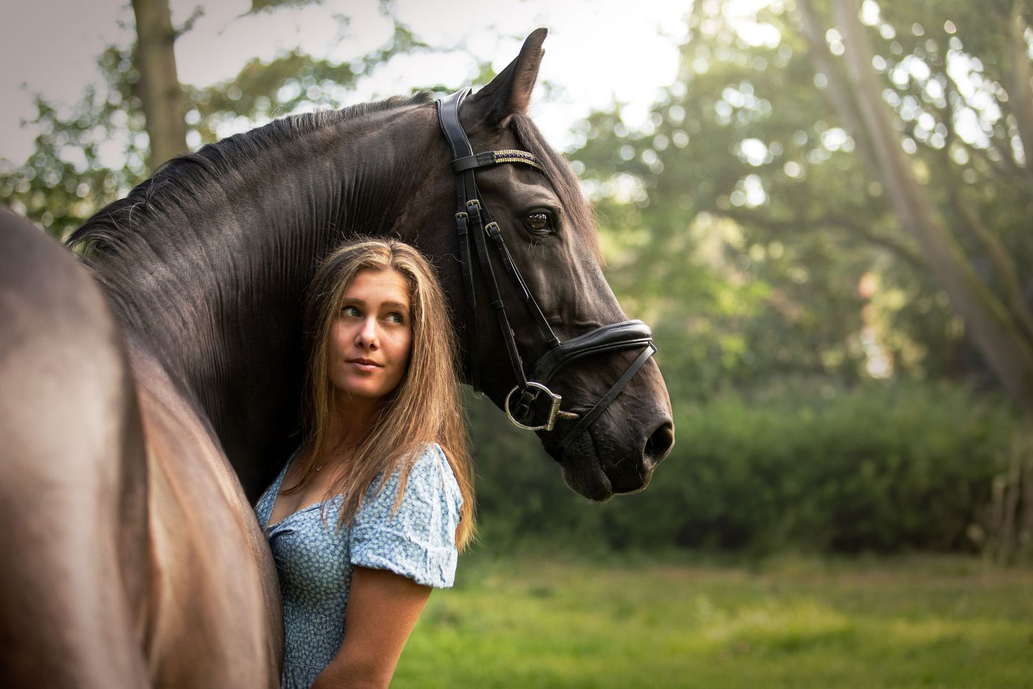 horse photography