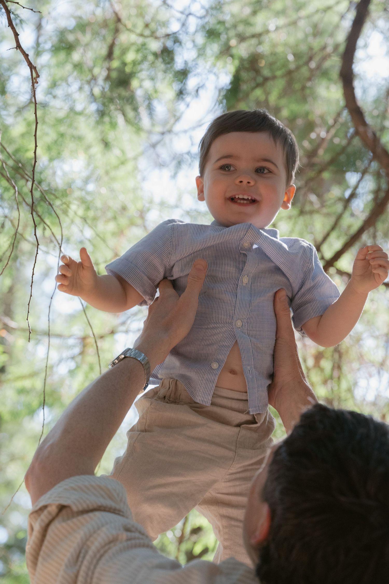 Father lifting delighted toddler into the tree canopy, family photo session Lighthouse Park West Vancouver | Tash Takes Pics