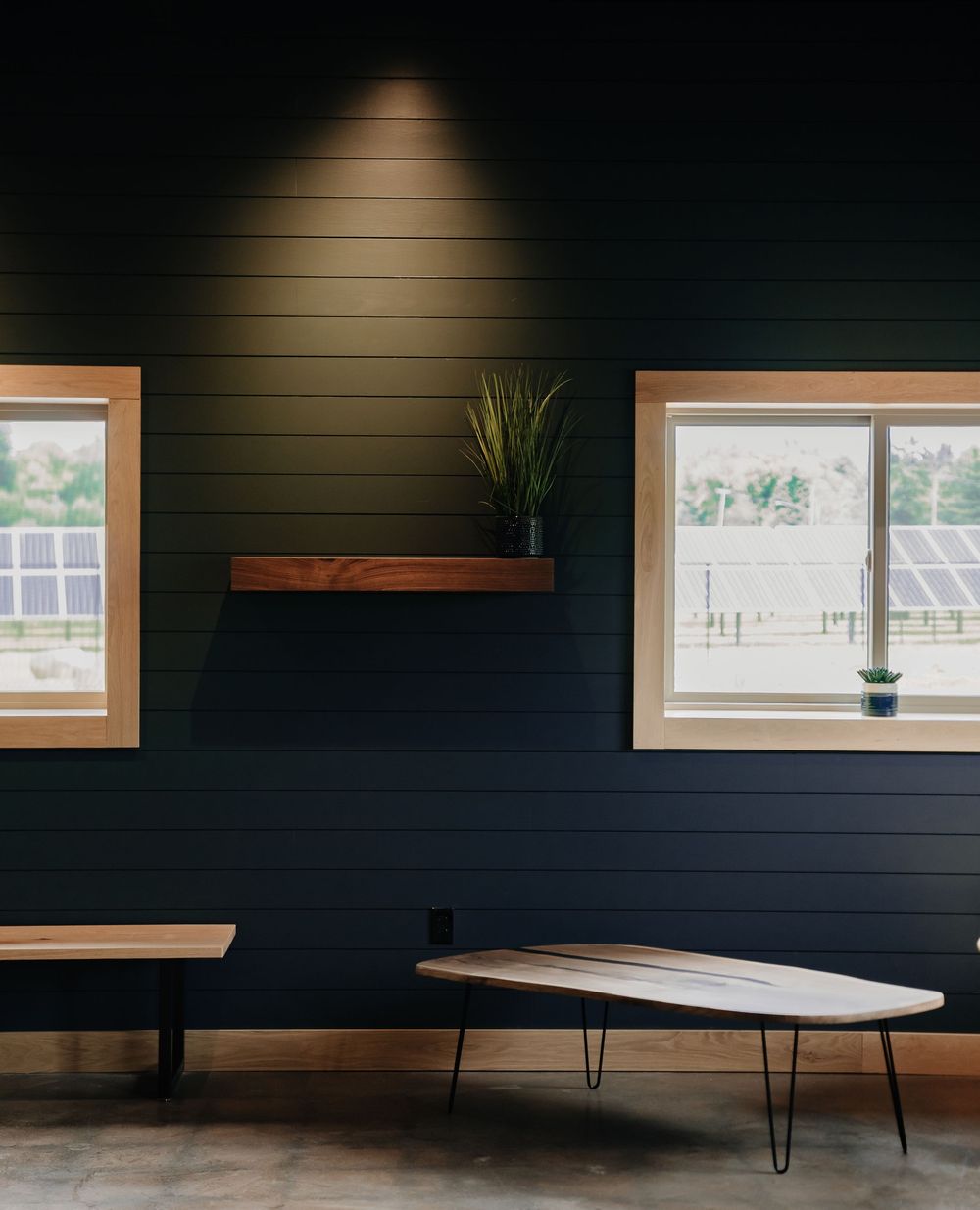 Modern minimalist interior with dark shiplap walls, wooden floating shelf, potted plant, and a live-edge coffee table.