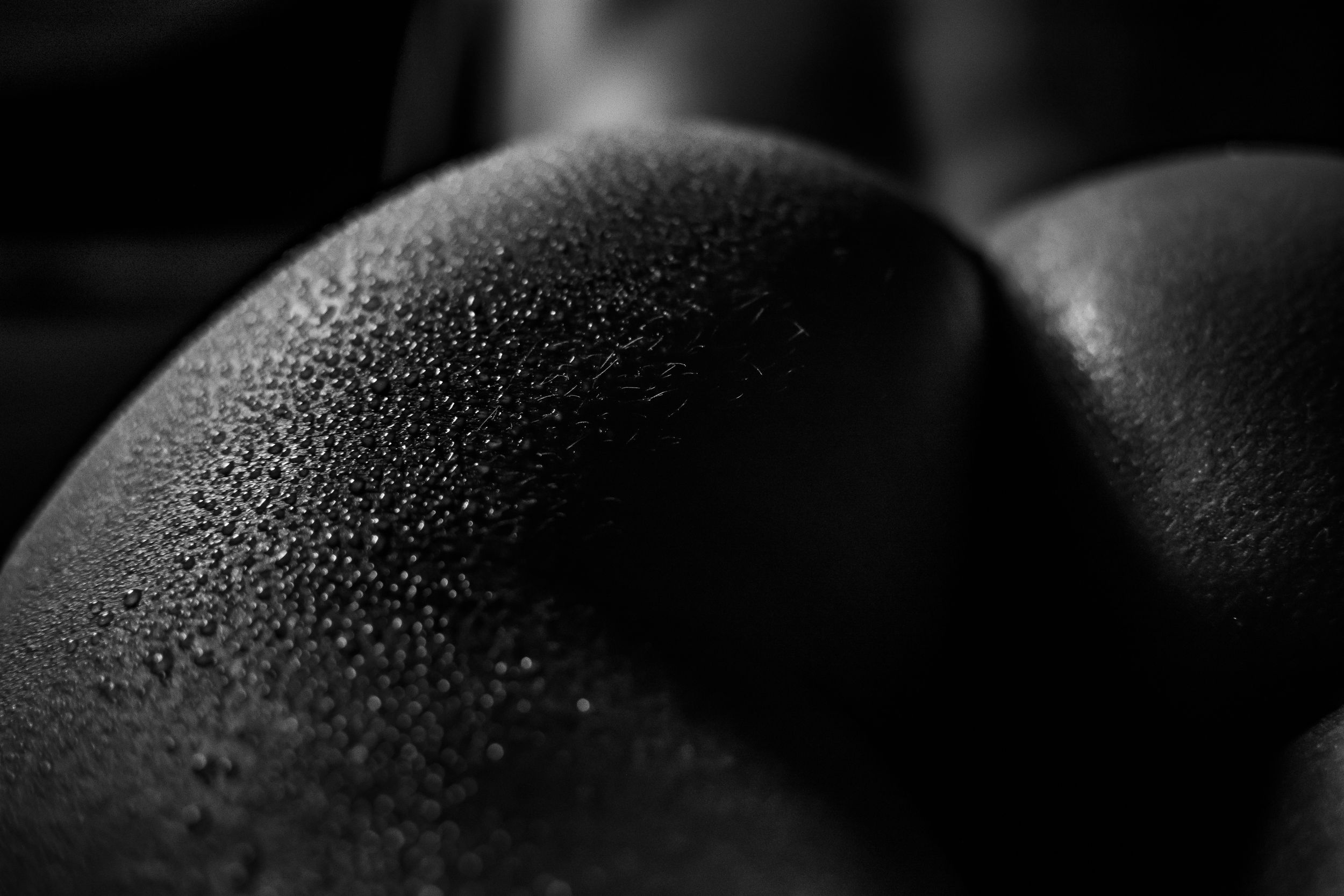 Fotografía macro boudoir en blanco y negro. Detalle de gotas de agua sobre la piel y curvas corporales con iluminación sutil.