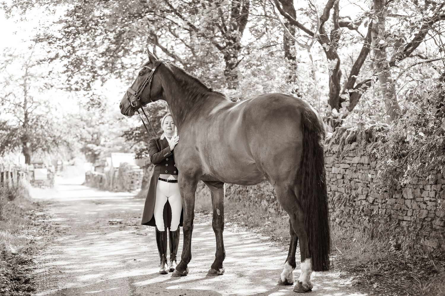 A series of seven photos showing a white horse and rider interacting at a wooden fence in an outdoor setting.