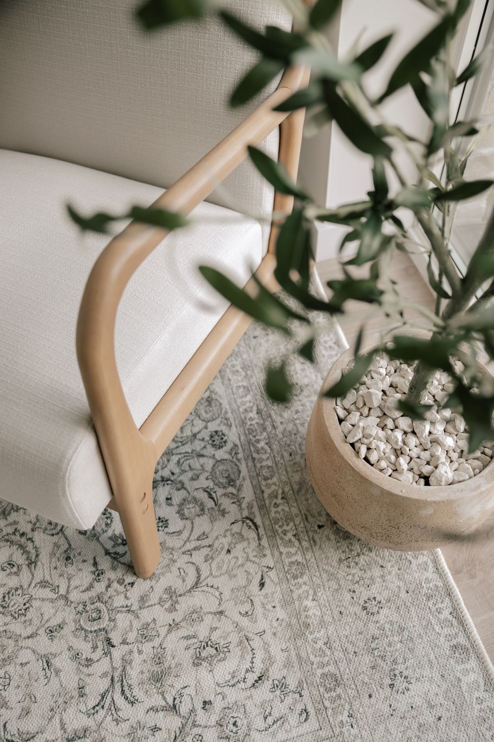 A modern white armchair with curved wooden frame sits on a patterned gray rug beside a potted plant.