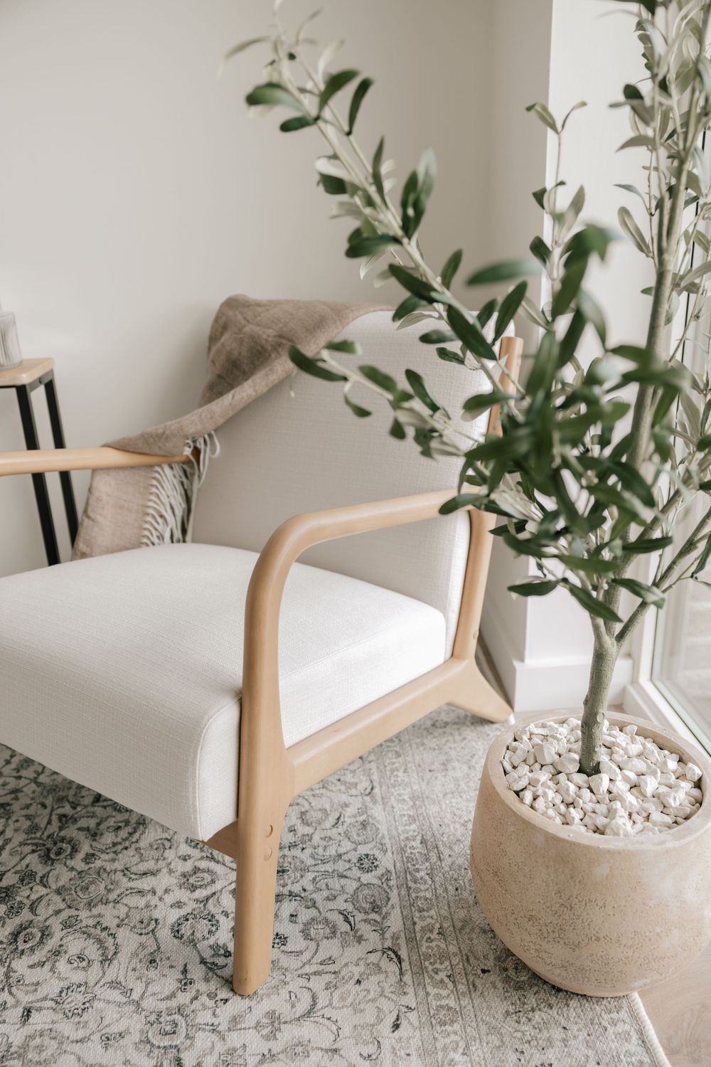 Modern white upholstered armchair with wooden frame next to potted olive tree on patterned area rug in bright room.