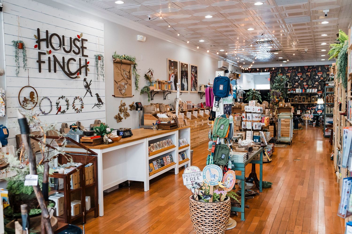 Interior view of a boutique retail store called House Finch with wooden floors, home decor items and rustic displays.