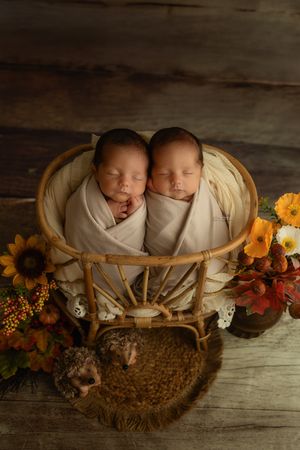 Two newborns sleeping in wooden basket surrounded by autumn flowers and decor.