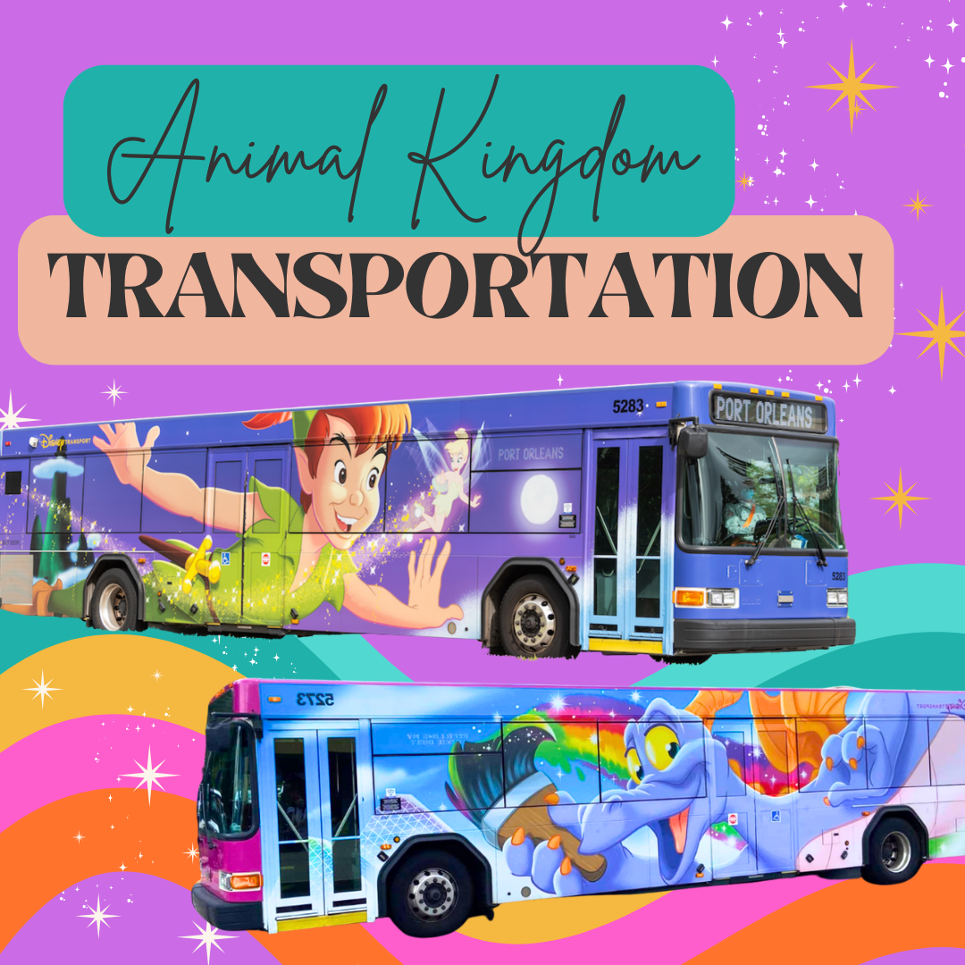 Disney transportation guide showing colorful bus designs with various theme park destinations.