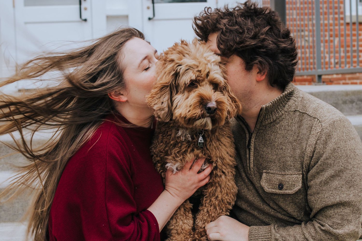 Couple in red and gray sweaters kissing a fluffy golden doodle puppy outdoors on a windy day.