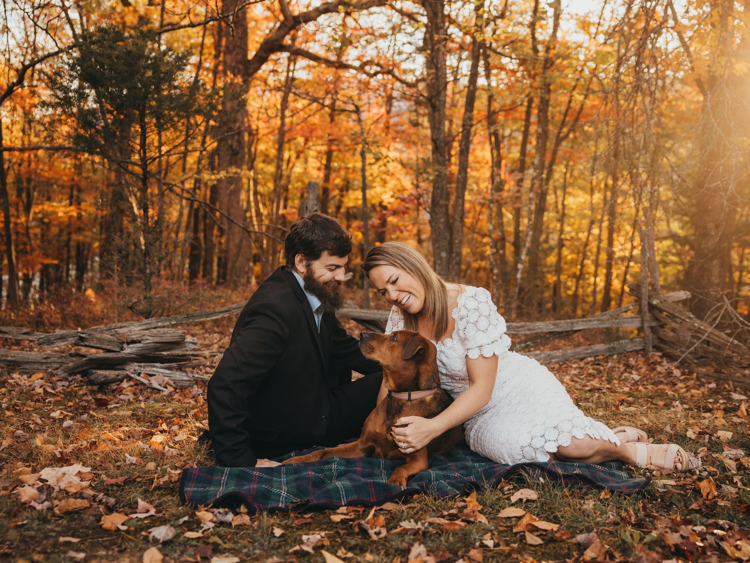 A couple sits with their dog on a blanket surrounded by fallen autumn leaves in a forest.