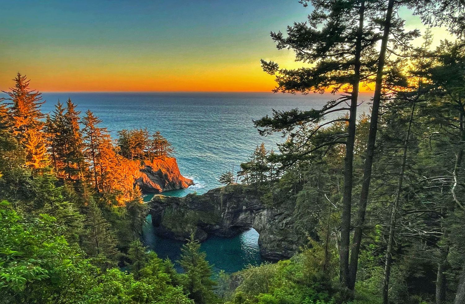 A panoramic sunset view over the Pacific Ocean through evergreen trees along the Oregon coastline at golden hour.