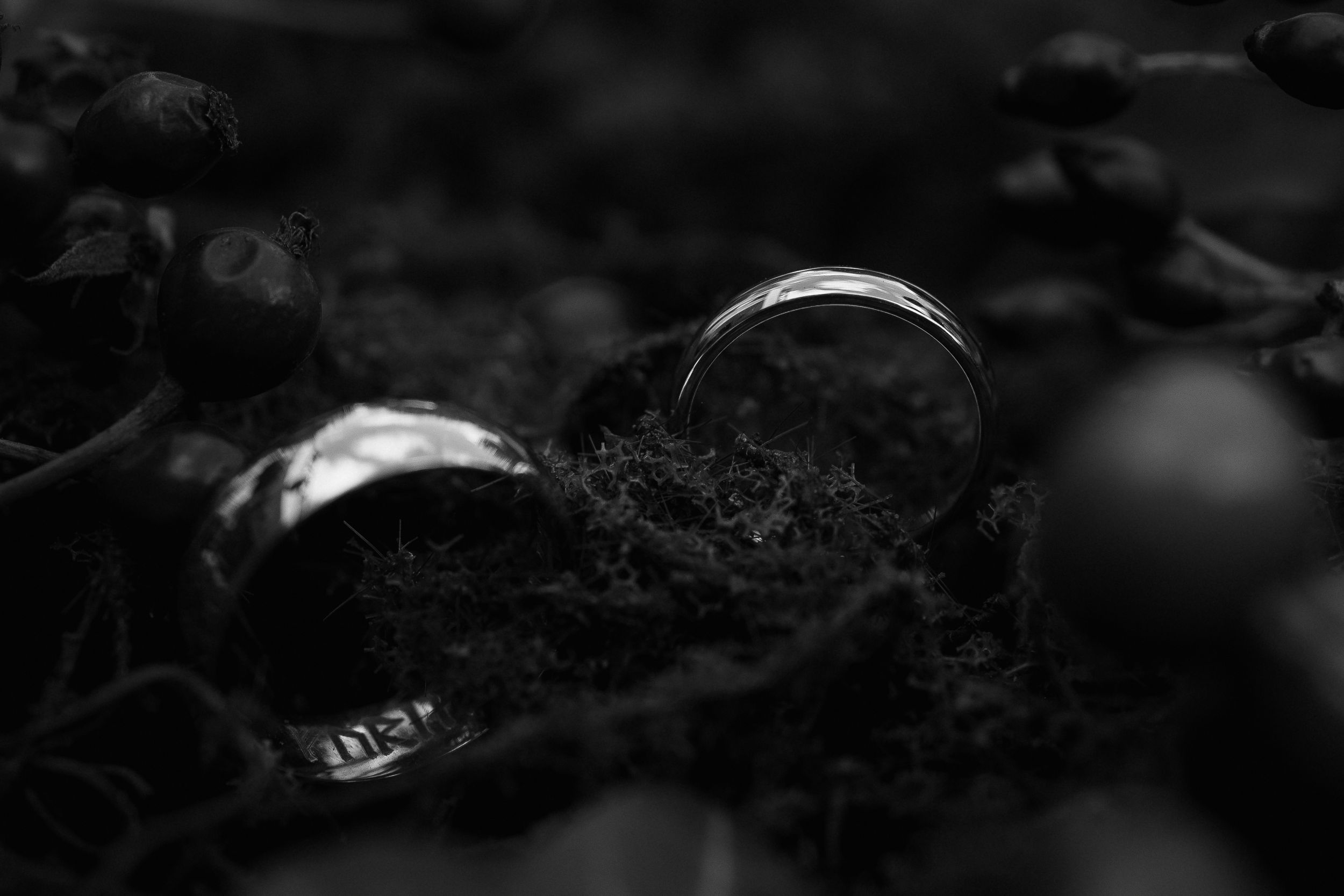 A dark monochromatic photograph shows a blurred and shadowy abstract pattern with subtle light highlights.