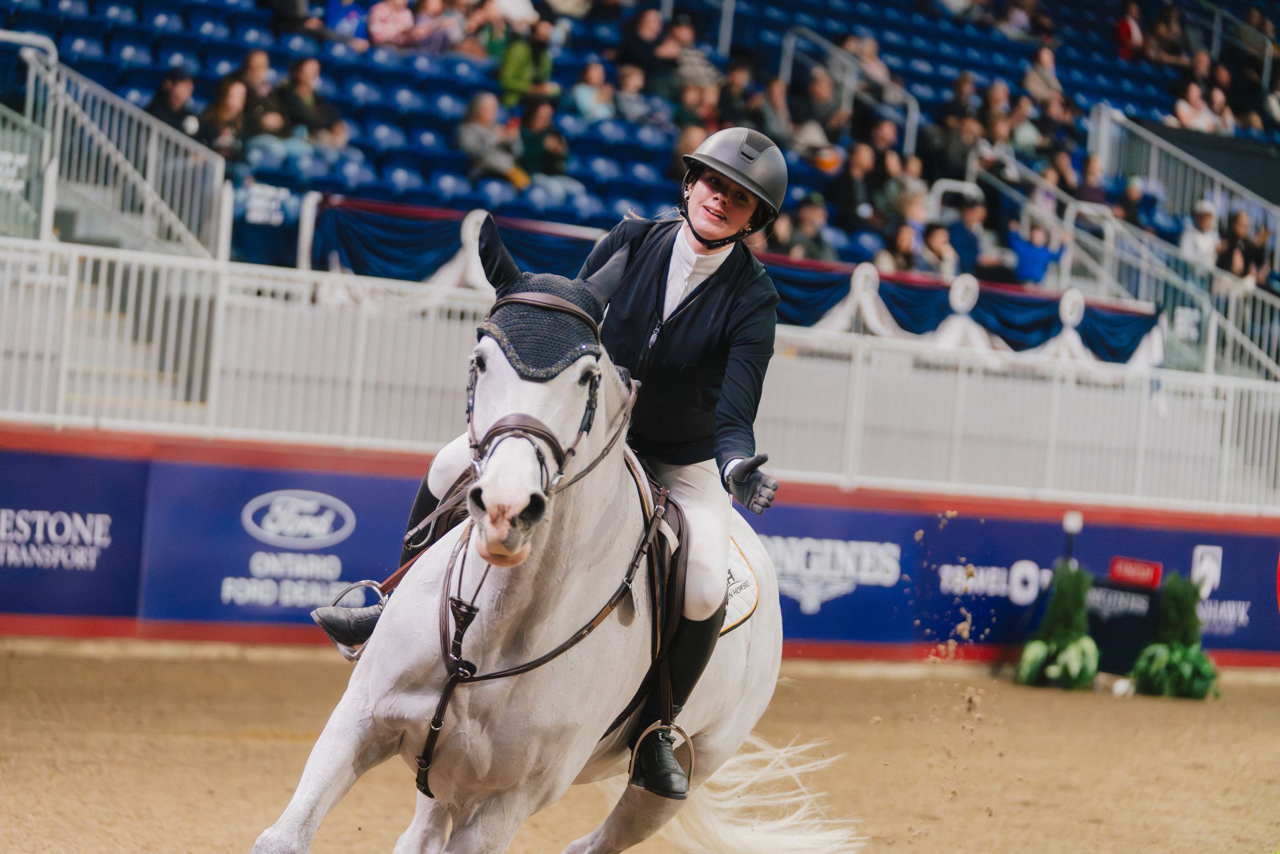 An equestrian rider in black show attire guides a white horse during a competition in an indoor arena.