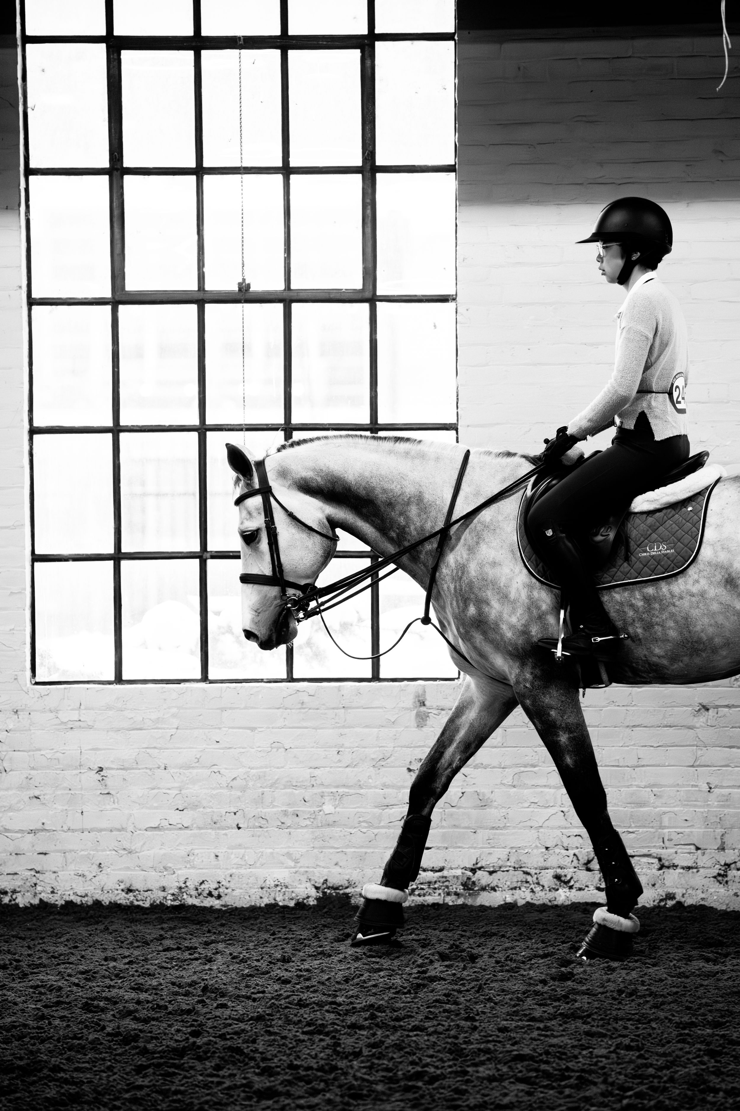 A sequence of black and white equestrian photos showing a rider practicing jumps in an indoor arena.