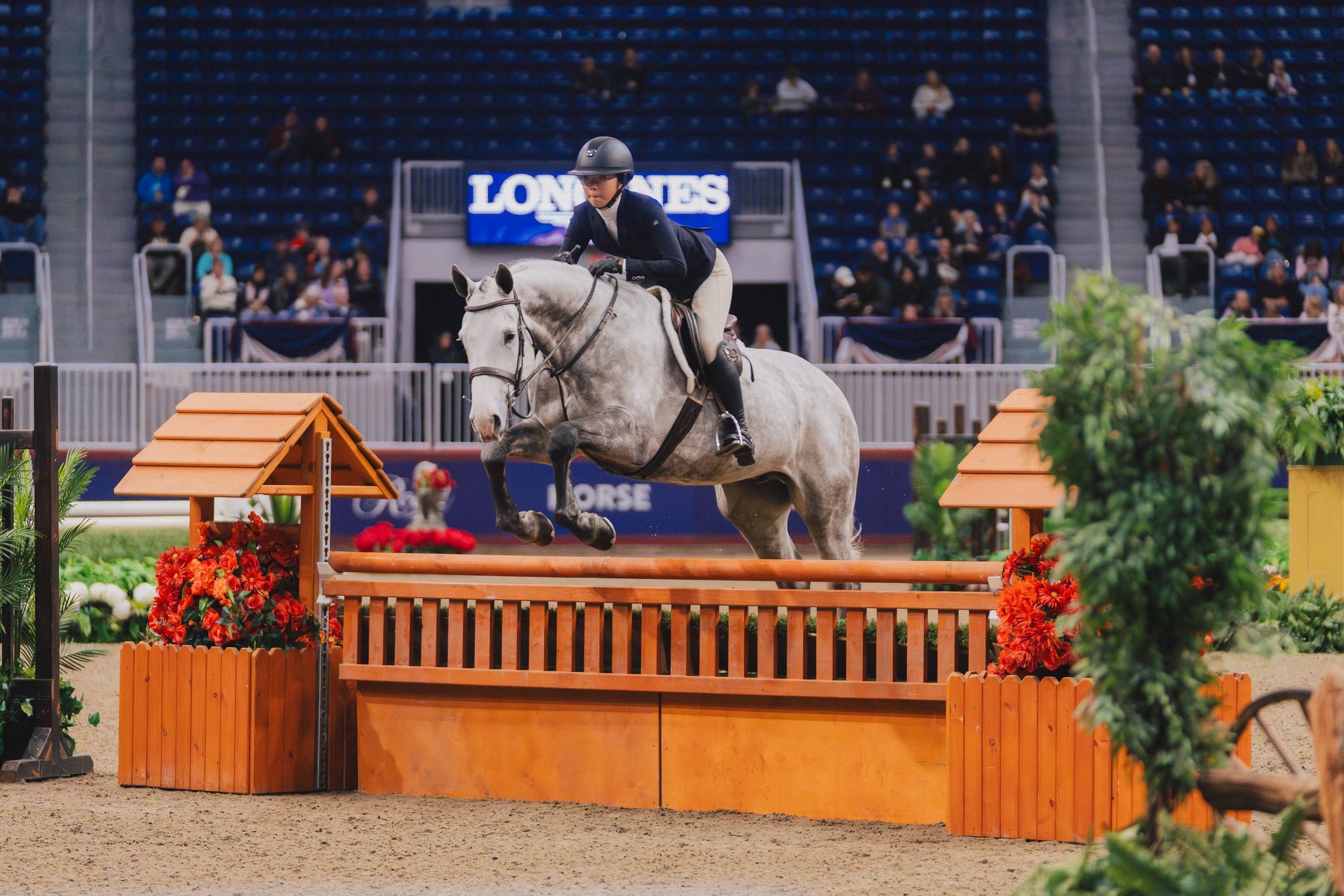A rider and white horse clear an orange jump obstacle during an indoor equestrian competition.