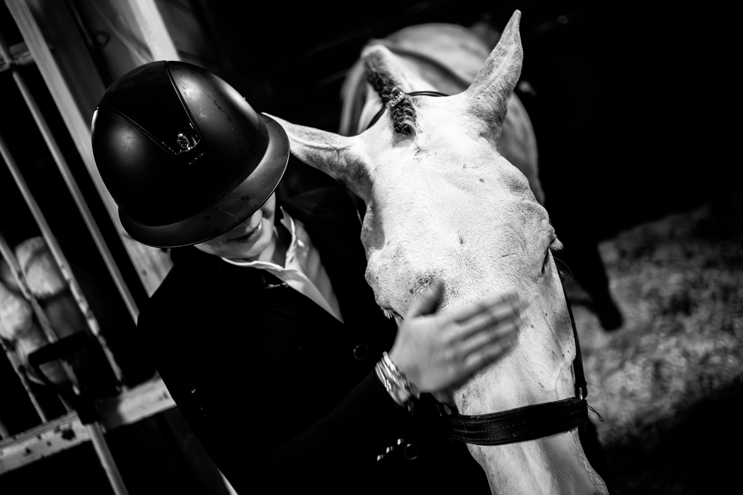 A series of black and white photographs showing close-up shots of a horse's face and muzzle.