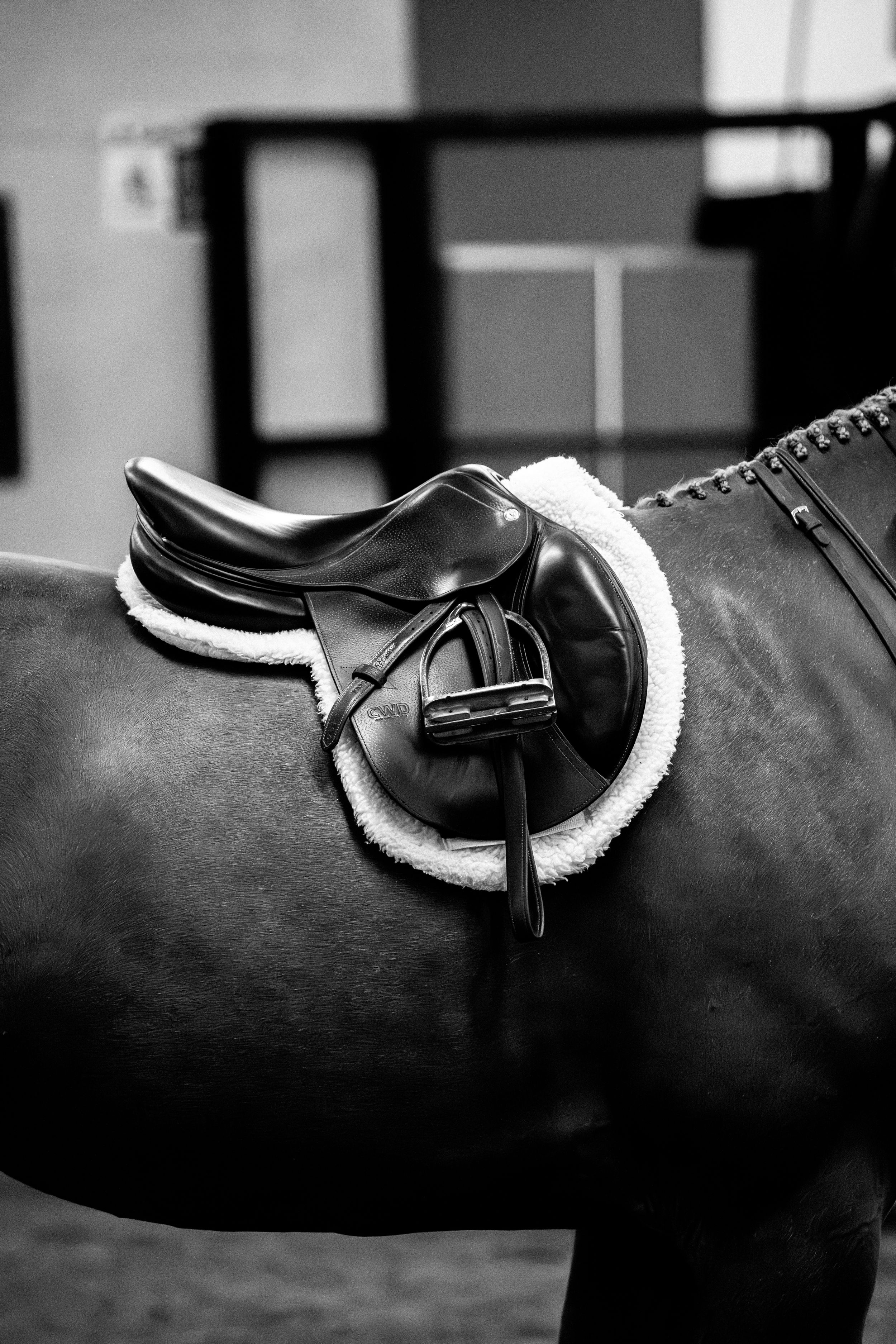 A black and white close-up photograph of an English saddle with white sheepskin padding on a horse's back.