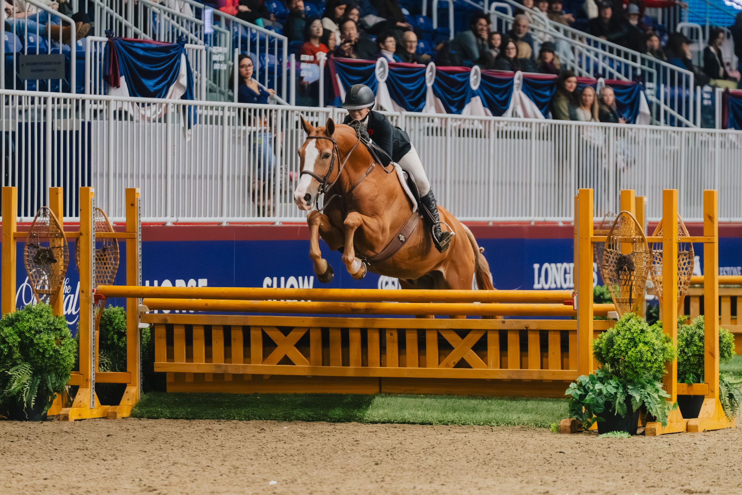 Horse and rider clearing a yellow show jumping fence during an equestrian competition at an outdoor arena.