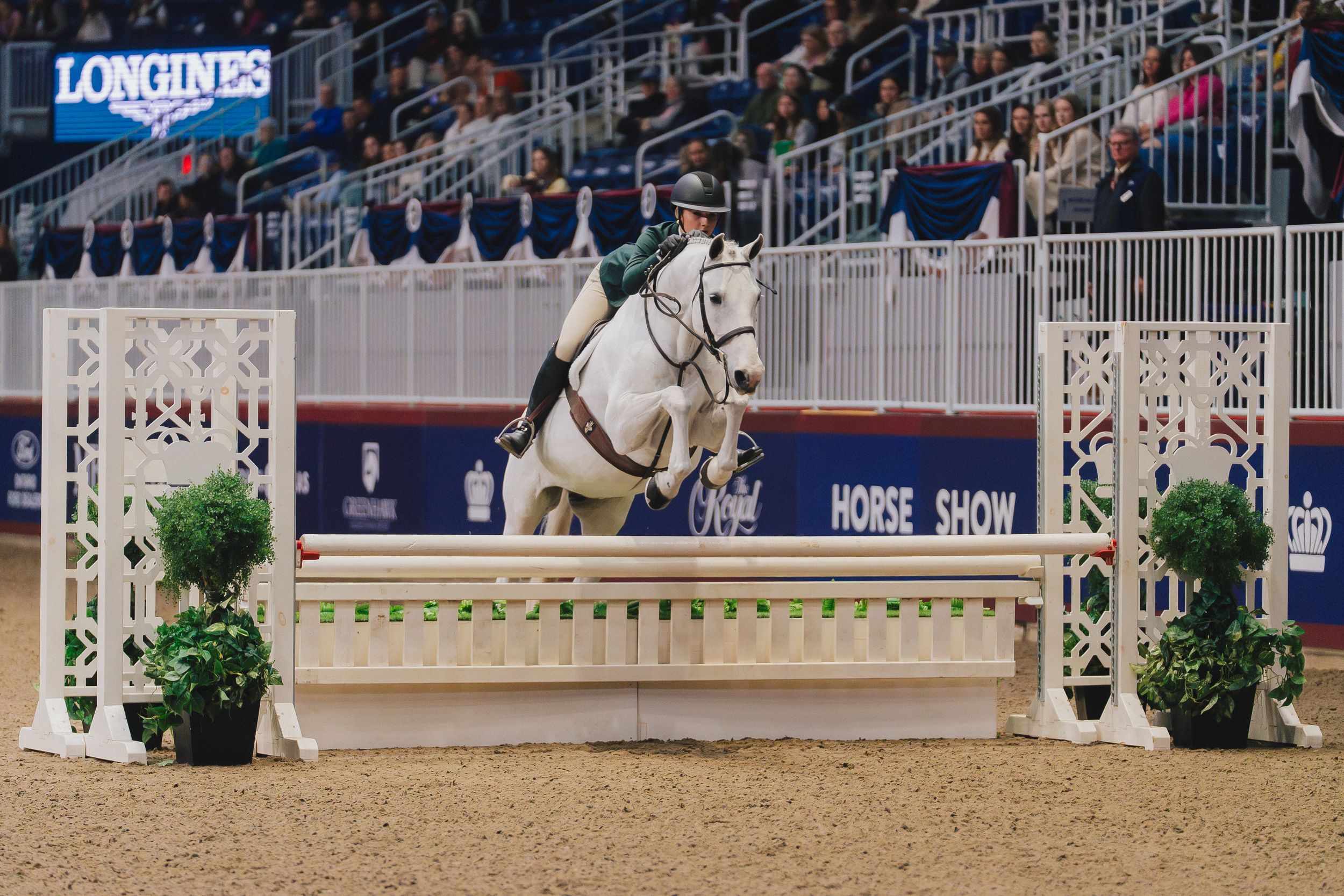 A horse and rider navigate through a competitive show jumping course at an equestrian event.