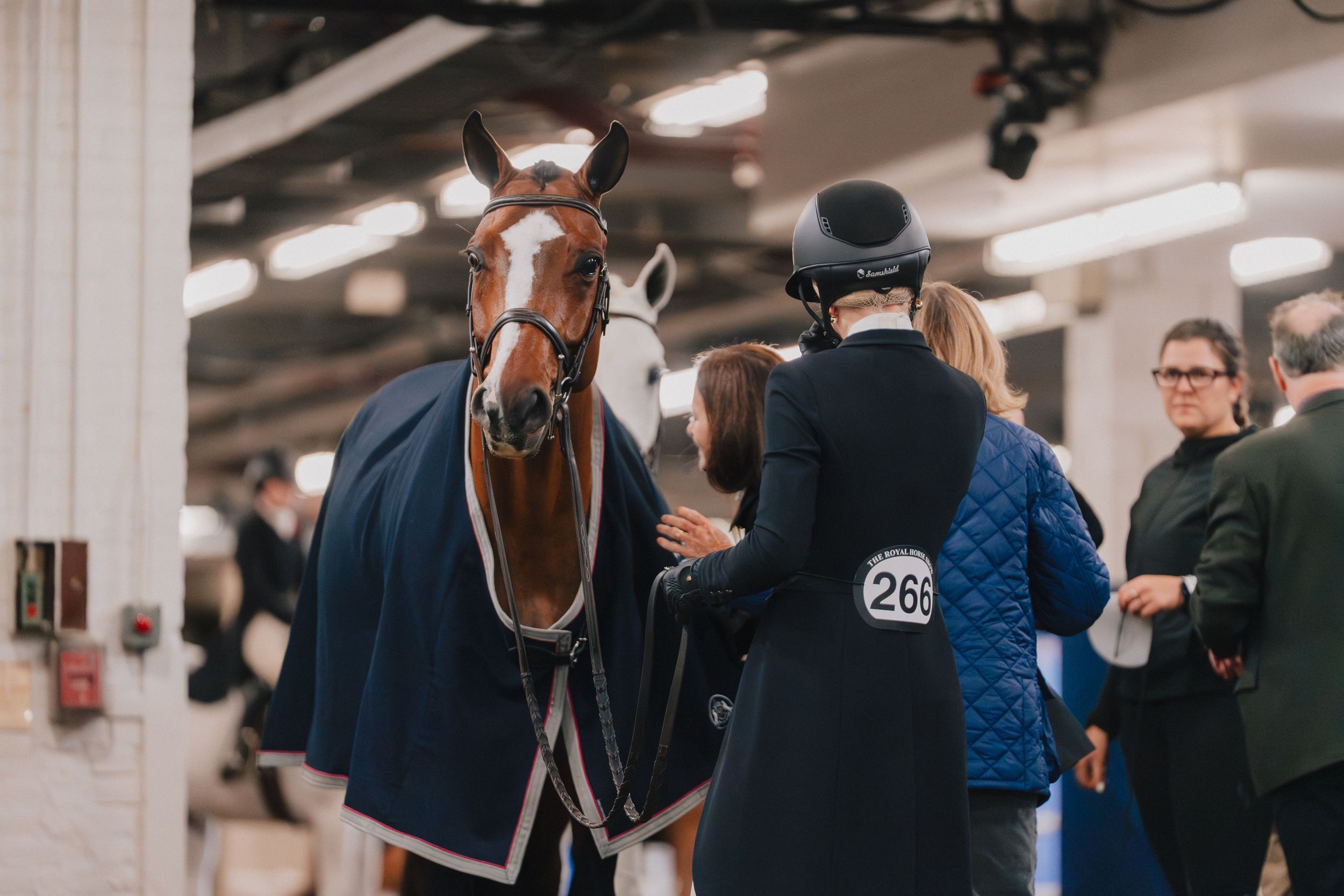 A chestnut horse wearing a navy blanket stands in an indoor arena while riders and handlers gather nearby.