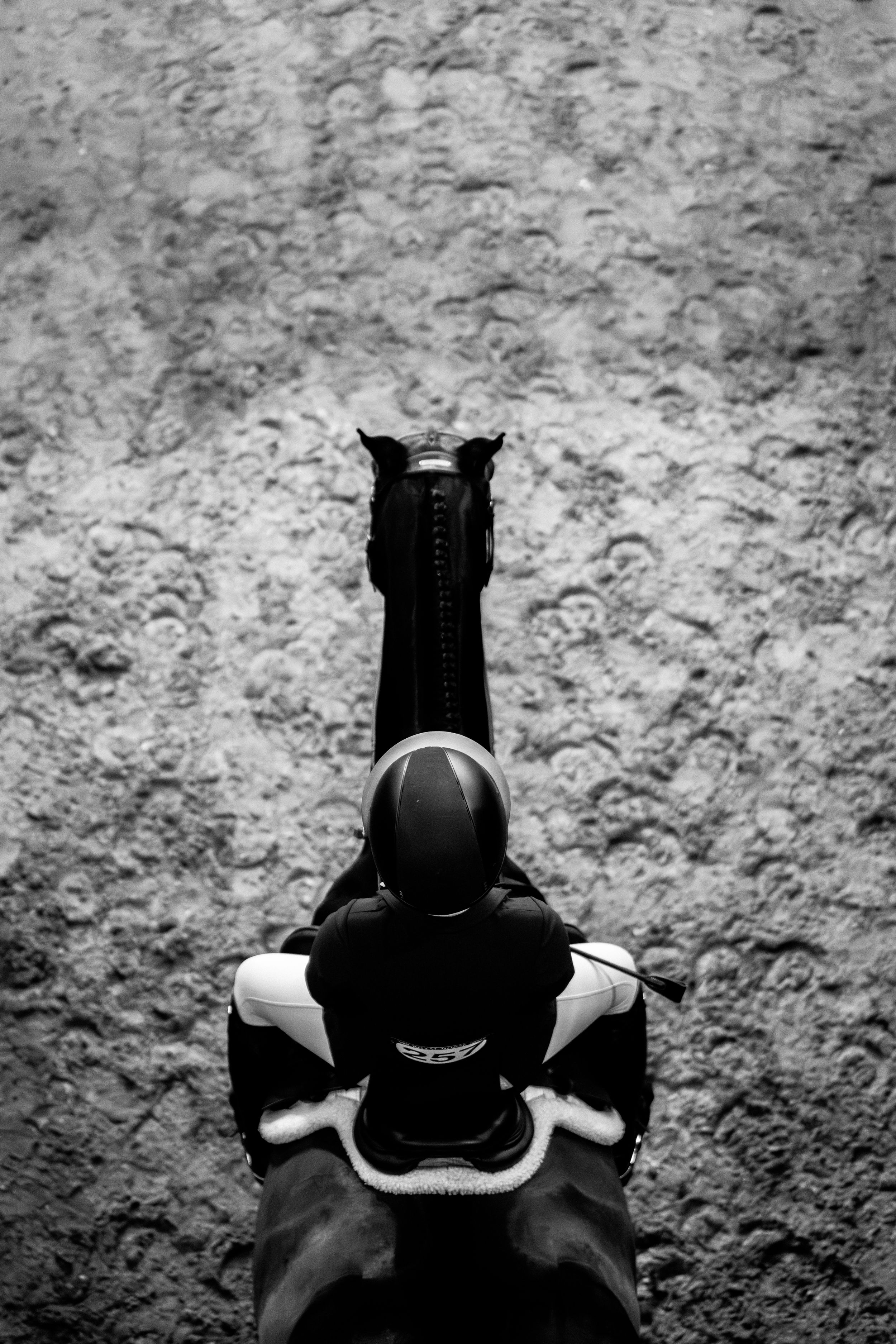 Black and white close-up of a leather horse saddle detail against a textured stone background.