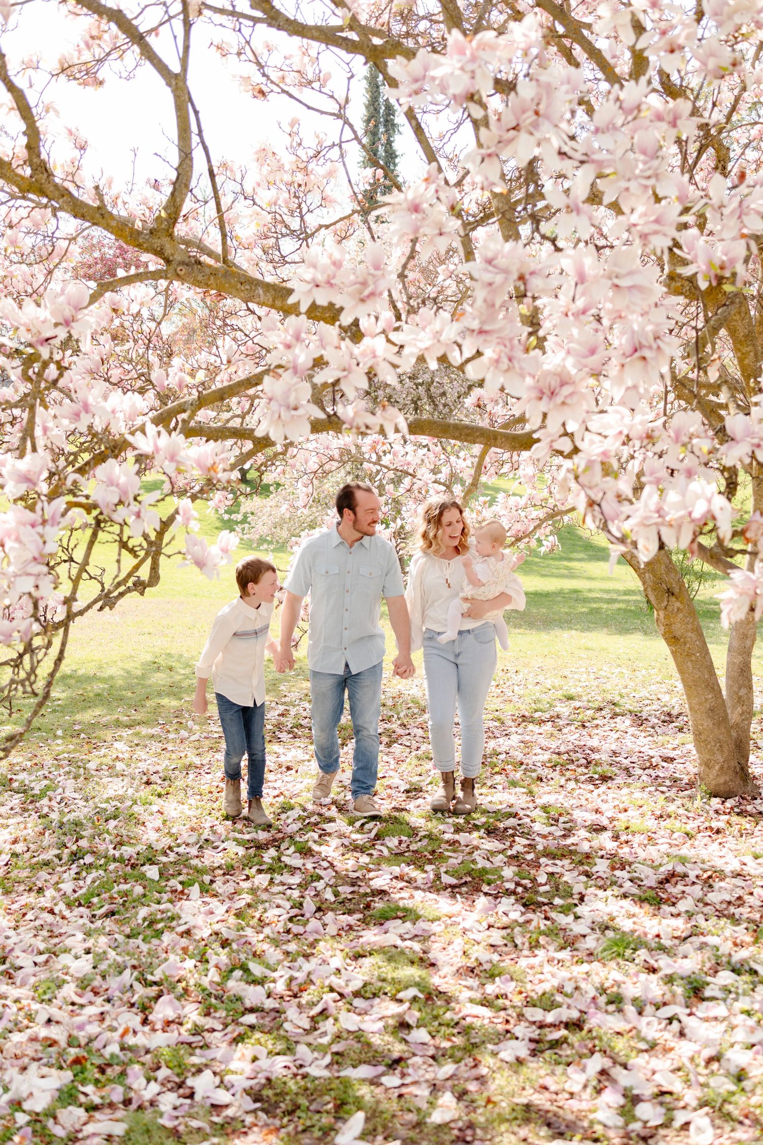 A group stands beneath blooming cherry blossom trees in a spring garden with pink petals scattered on the ground.