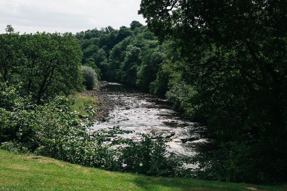 Scenic river view surrounded by lush green forest and rolling hills.