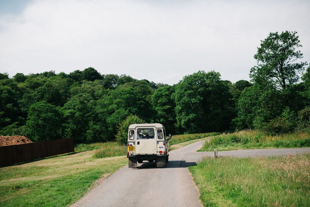 Panoramic view of a winding country road through green rolling hills with scattered trees.