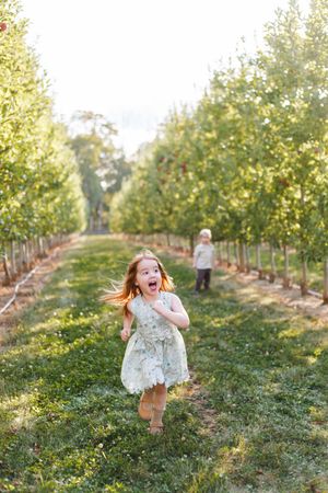A young child runs excitedly through rows of apple trees in an orchard.