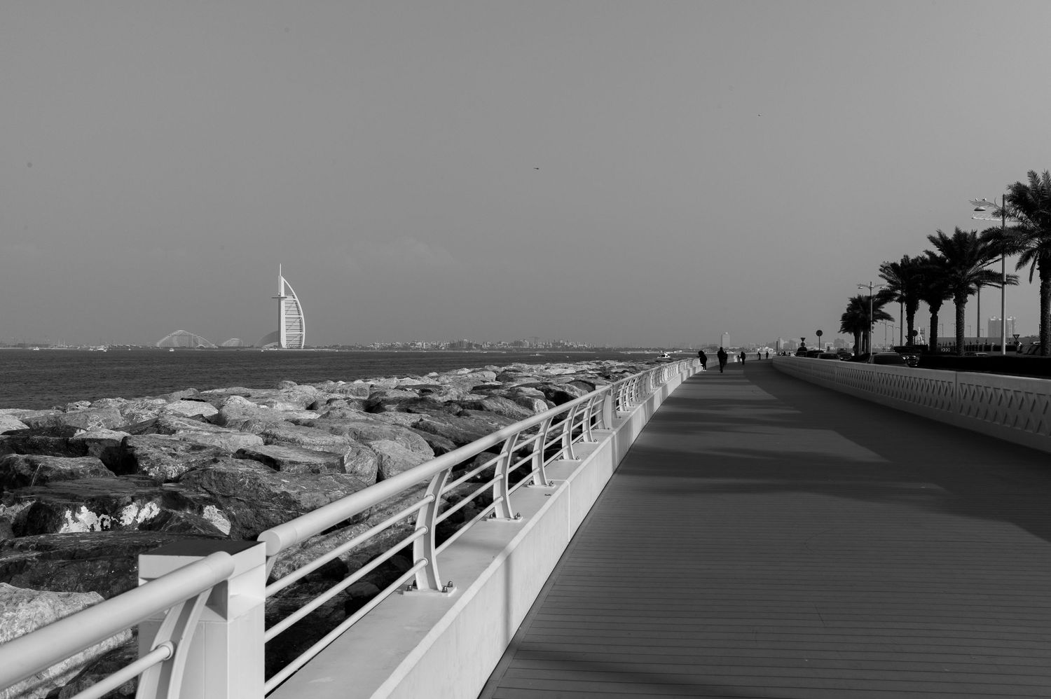 A series of black and white photographs showing coastal boardwalks and beachfront scenes with palm trees and railings.