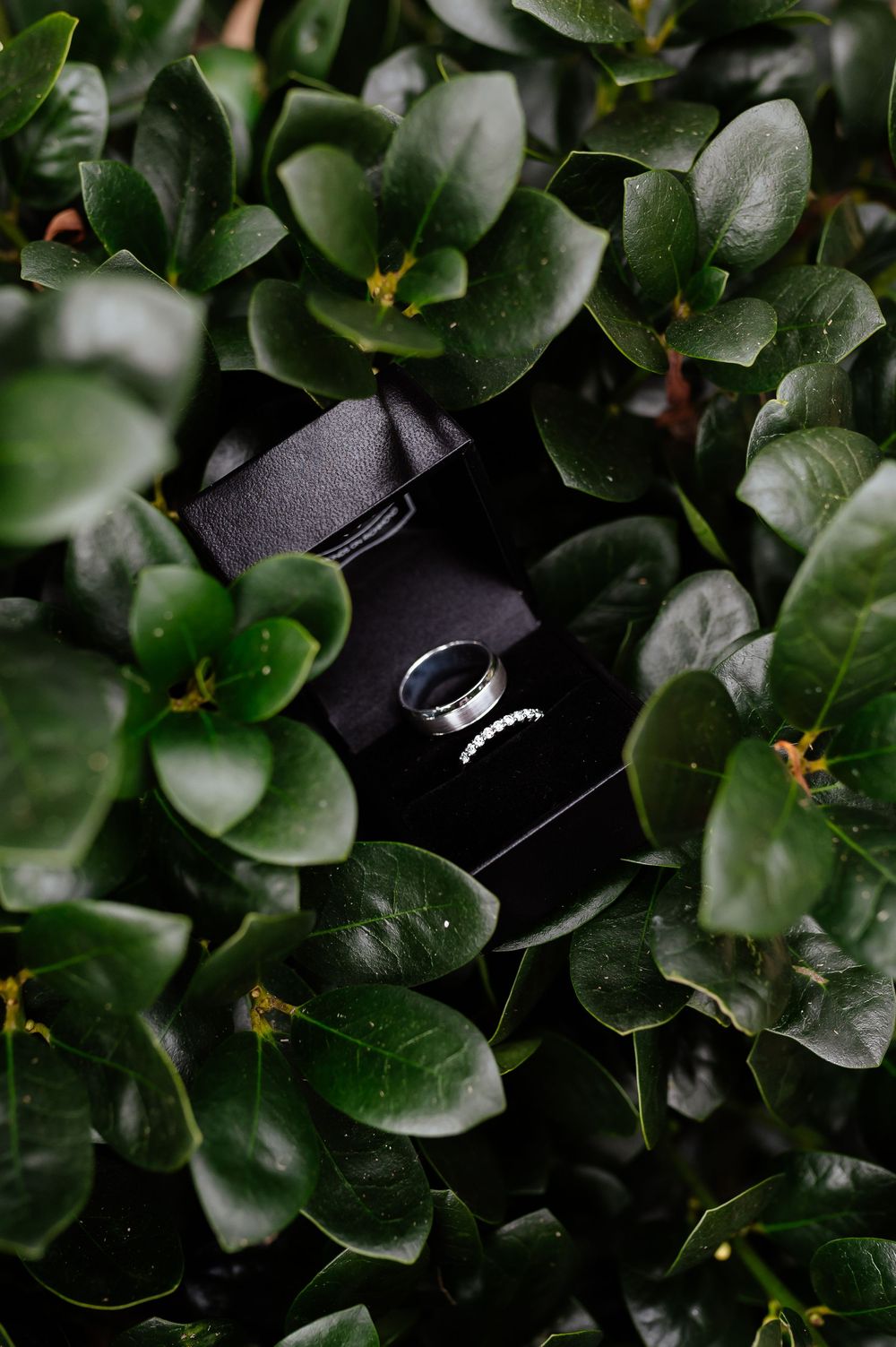 Black wireless earbud case nestled among glossy green leaves creates a minimalist tech and nature composition.